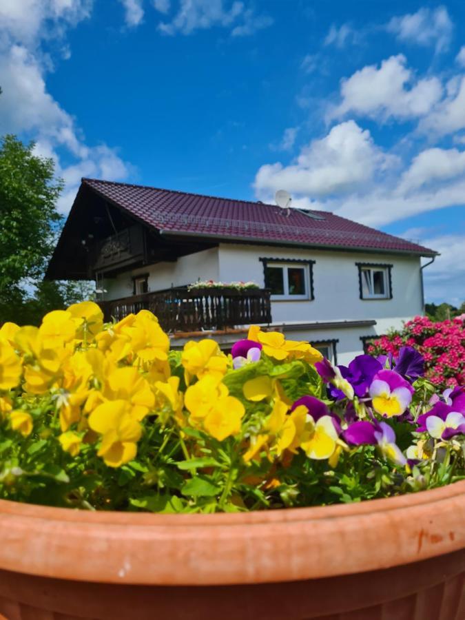 Ferienwohnung Eva Grebenhain Dış mekan fotoğraf