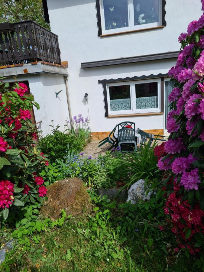 Ferienwohnung Eva Grebenhain Dış mekan fotoğraf